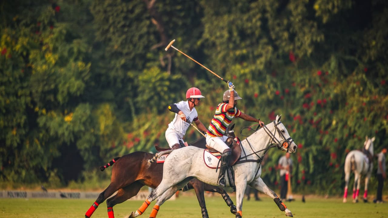 Players in action. (Photo/Jaipur Polo team) Players in action. (Photo/Jaipur Polo team)