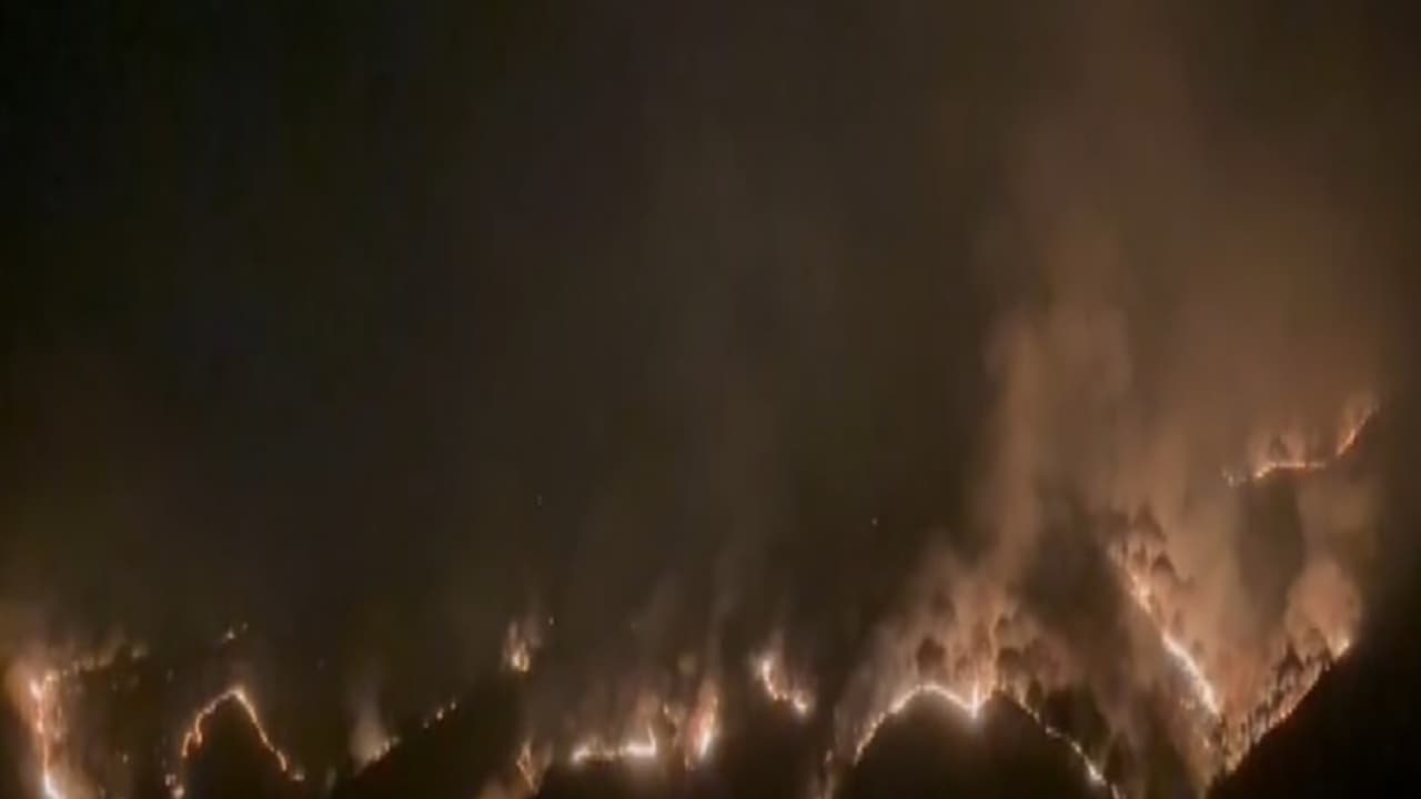 Visual from forest fire in Solan in Himachal Pradesh (Photo/ANI) Visual from forest fire in Solan in Himachal Pradesh (Photo/ANI)