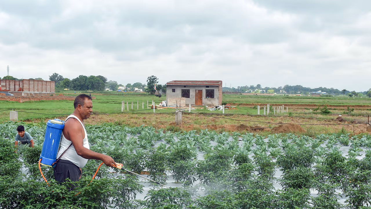 Representative Image (File Photo/ANI) Representative Image (File Photo/ANI)