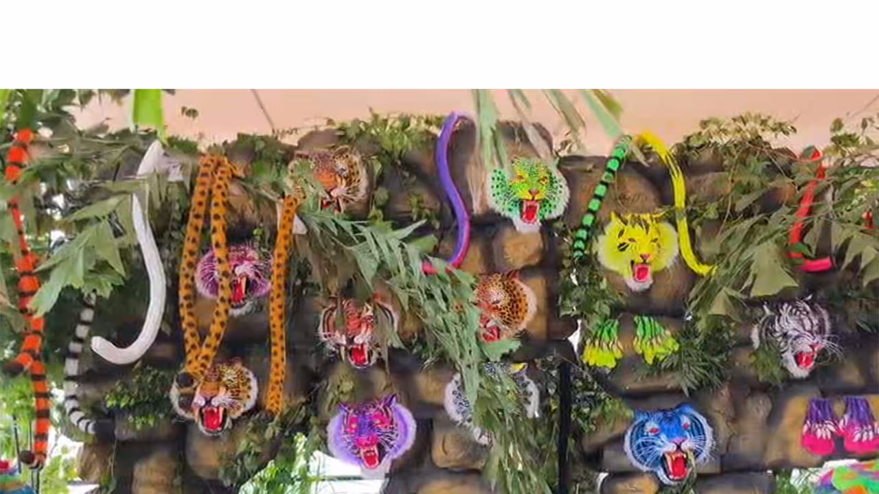 Pulikali preparations in Thrissur (Photo/ANI) Pulikali preparations in Thrissur (Photo/ANI)
