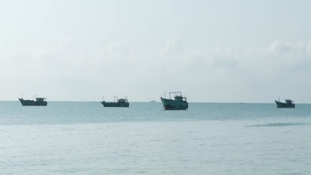 Representative image of fishing boats (Photo/ANI) Representative image of fishing boats (Photo/ANI)