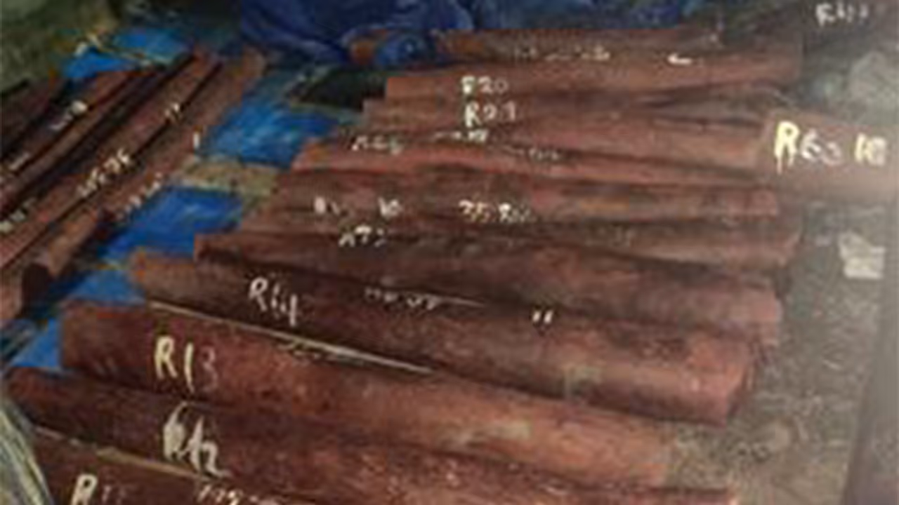 DRI busts organised Red Sanders smuggling racket in Chennai (Photo: PIB) DRI busts organised Red Sanders smuggling racket in Chennai (Photo: PIB)