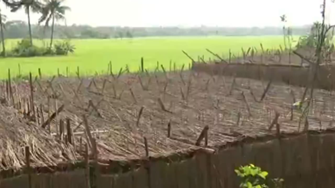 Representative image Representative image