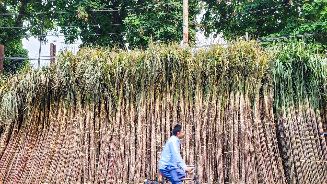 Representative Image (File Photo/ANI)