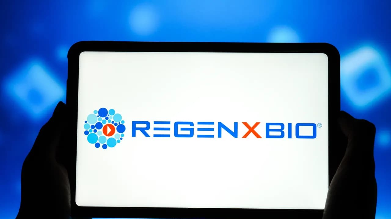 https://stocktwits.com/news articles/markets/equity/regenxbio rgx setback carries a potential cash risk warns clear street/cZYklq2RJ8K https://stocktwits.com/news articles/markets/equity/regenxbio rgx setback carries a potential cash risk warns clear street/cZYklq2RJ8K
