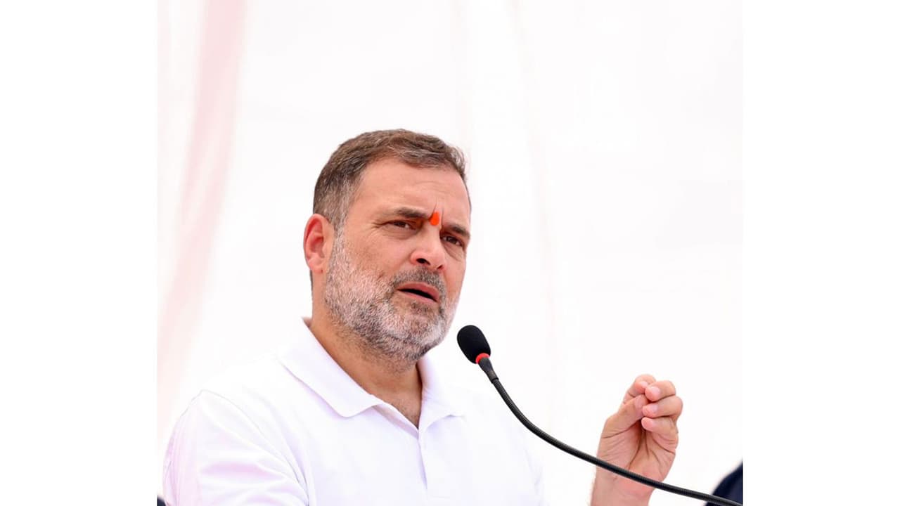 LoP in Lok Sabha Rahul Gandhi (File photo/ANI) LoP in Lok Sabha Rahul Gandhi (File photo/ANI)