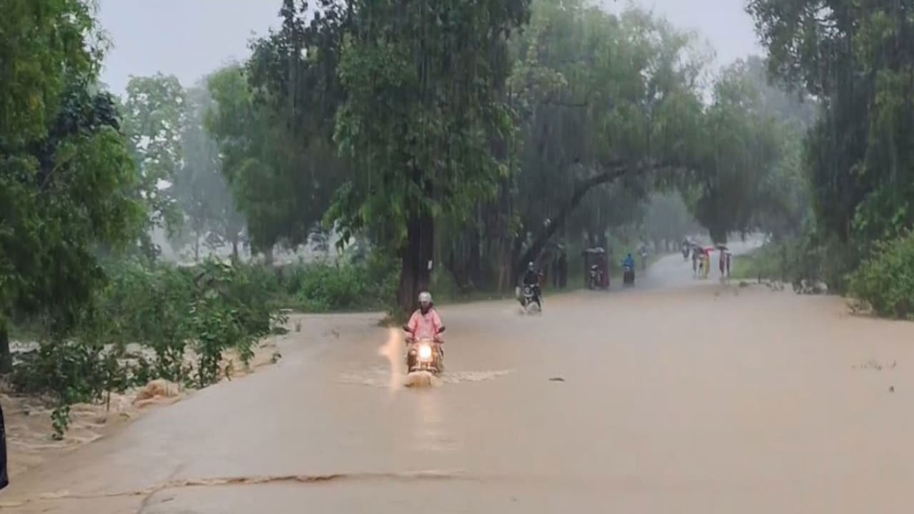 Visuals of flood affected area (Photo/ANI) Visuals of flood affected area (Photo/ANI)