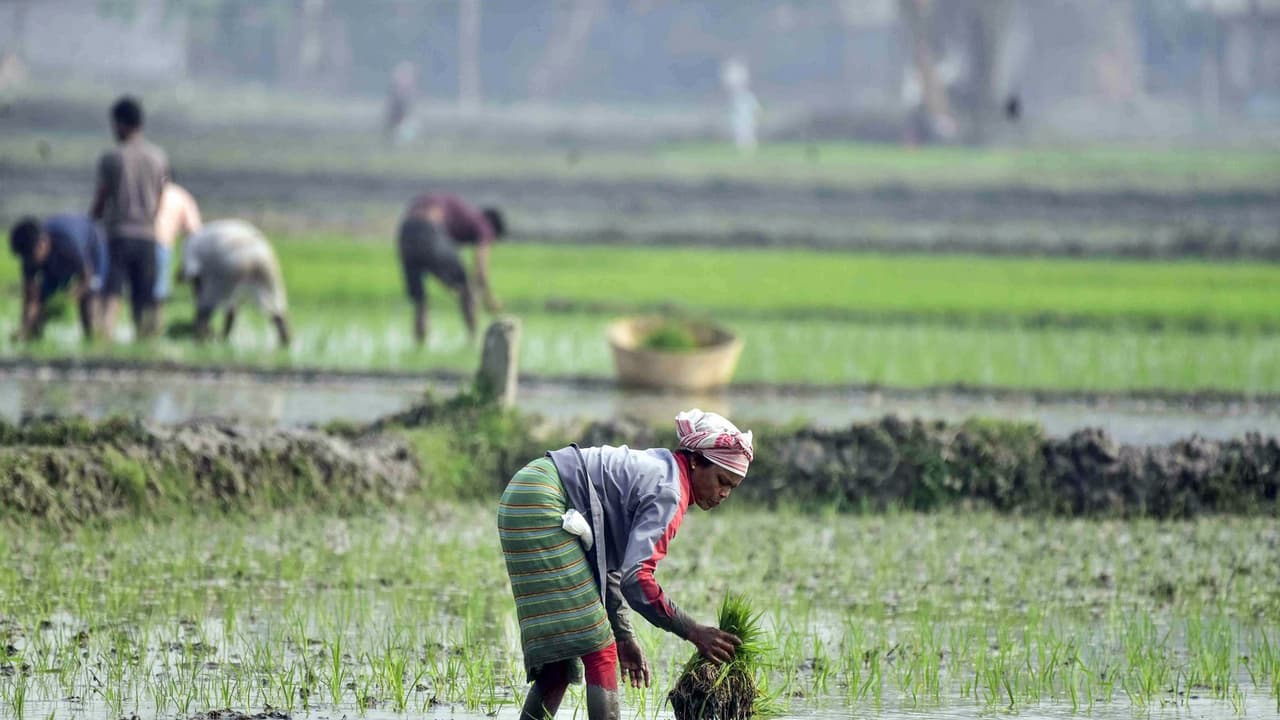 Representative image (File Photo/ANI) Representative image (File Photo/ANI)