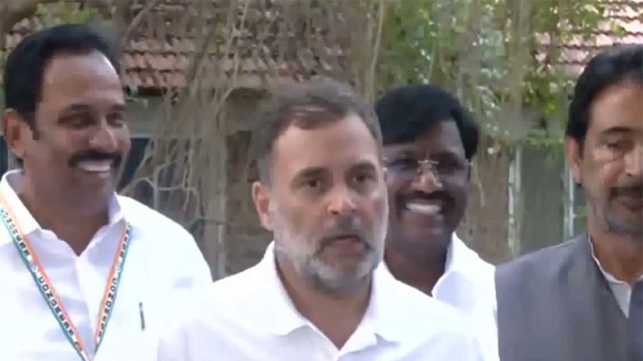 Congress MP Rahul Gandhi (Photo/ANI) Congress MP Rahul Gandhi (Photo/ANI)