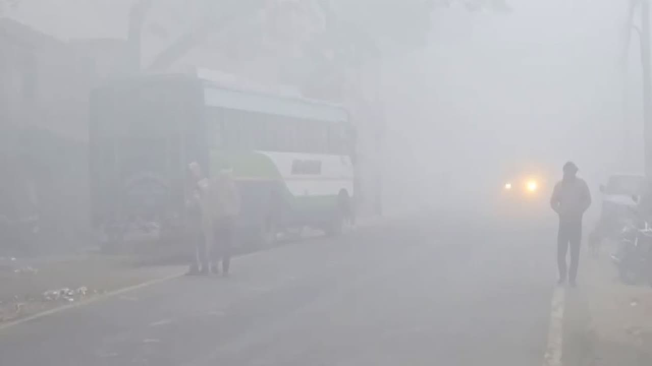 A dense layer of fog covers Bulandshahr (Photo/ANI) A dense layer of fog covers Bulandshahr (Photo/ANI)