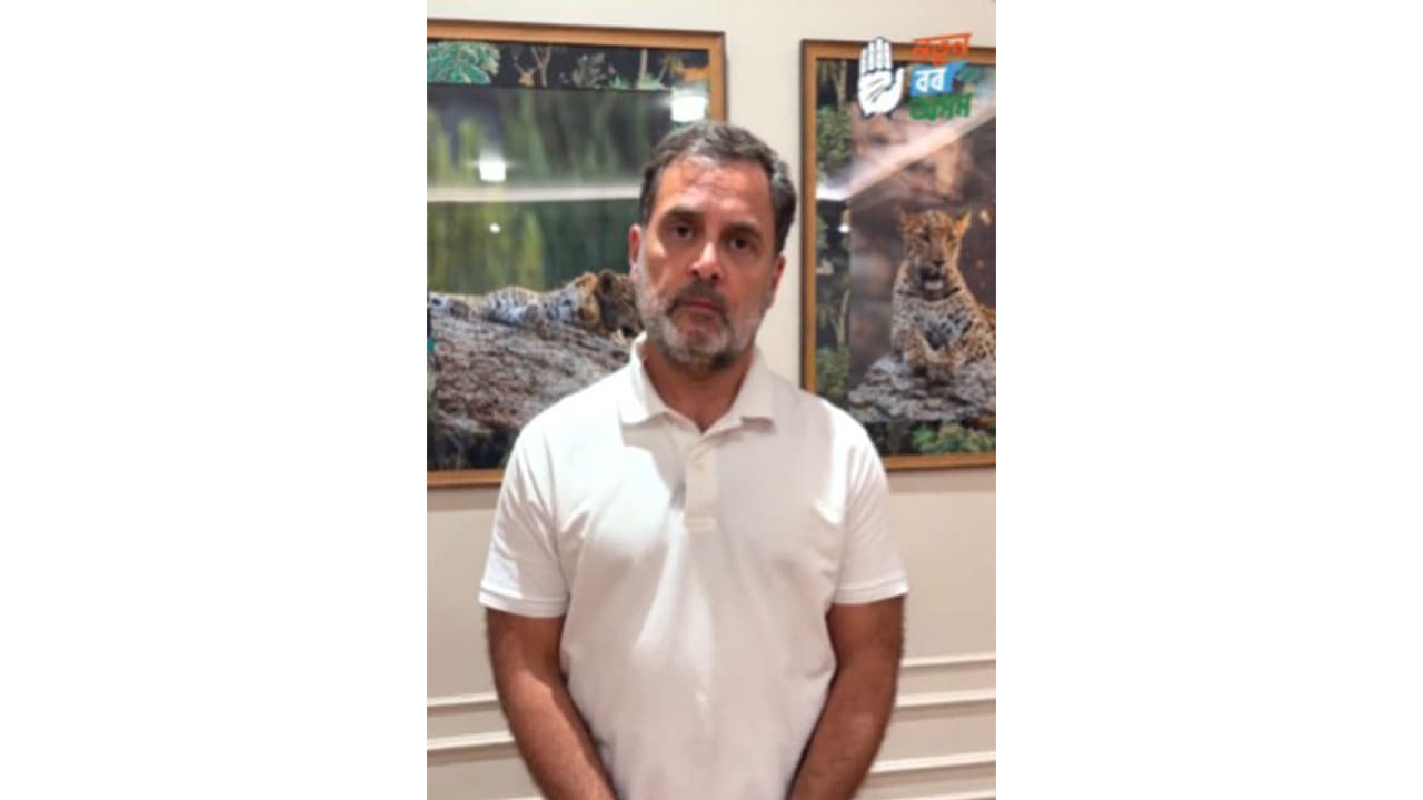 Leader of Opposition, Rahul Gandhi (Photo/ANI) Leader of Opposition, Rahul Gandhi (Photo/ANI)