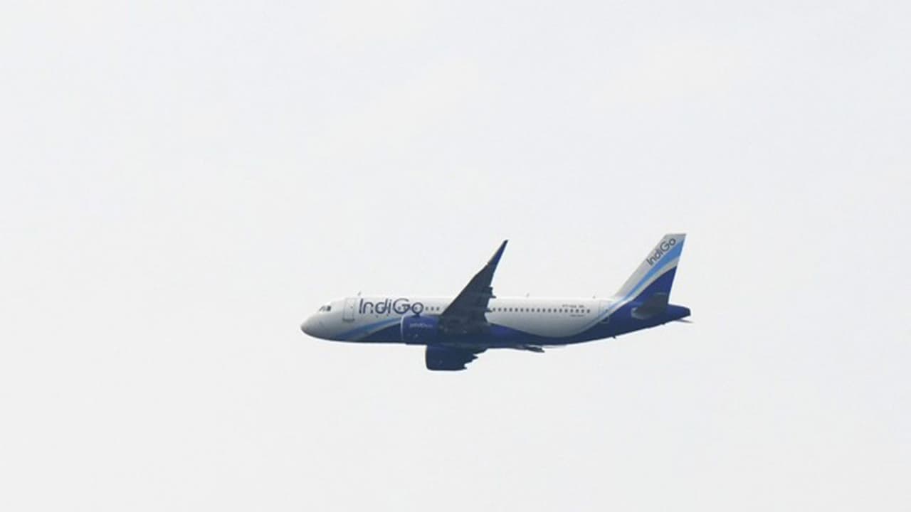 An Indigo flight (File Photo/ANI) An Indigo flight (File Photo/ANI)