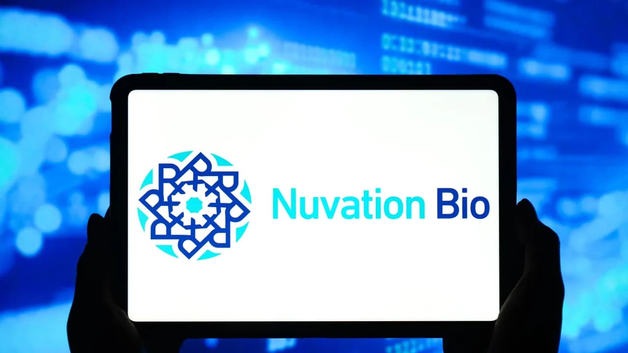 https://stocktwits.com/news articles/markets/equity/nuvb stock soaring today rbc 3b opportunity nuvation bio brain cancer drug/cZZiB0uR7uy https://stocktwits.com/news articles/markets/equity/nuvb stock soaring today rbc 3b opportunity nuvation bio brain cancer drug/cZZiB0uR7uy