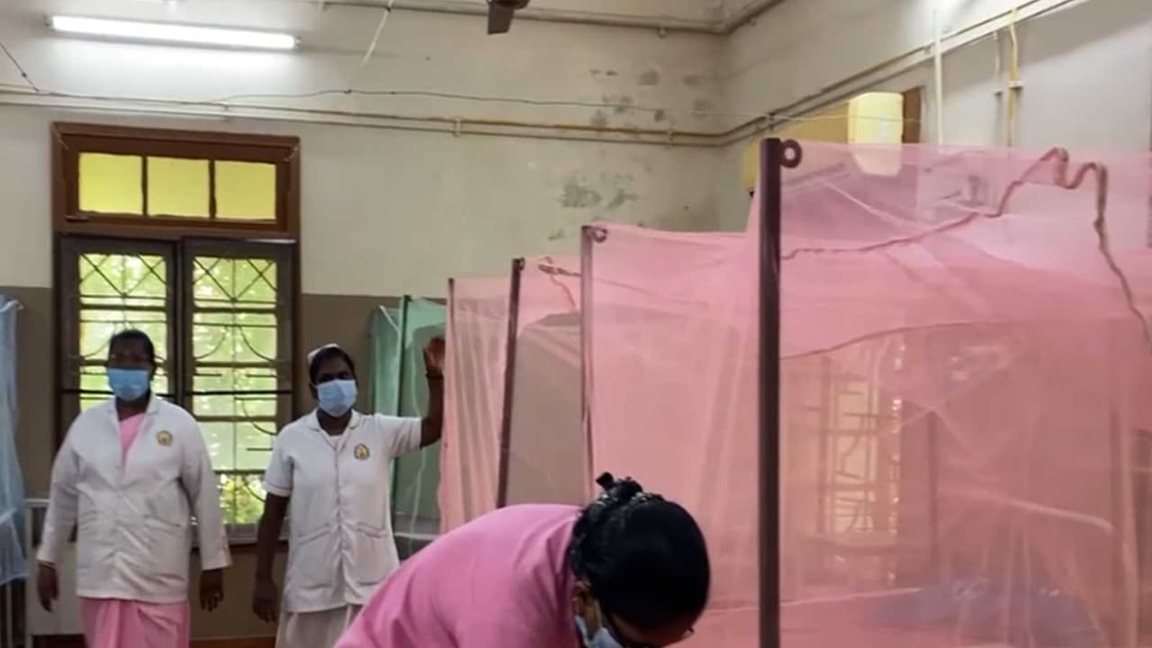 Special ward for dengue at Thoothukudi Government Hospital (Photo/ANI) Special ward for dengue at Thoothukudi Government Hospital (Photo/ANI)
