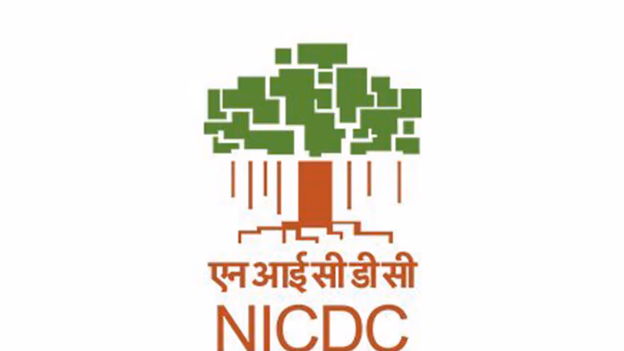 National Industrial Corridor Development Corporation logo (Photo/X_@nicdc01) National Industrial Corridor Development Corporation logo (Photo/X_@nicdc01)