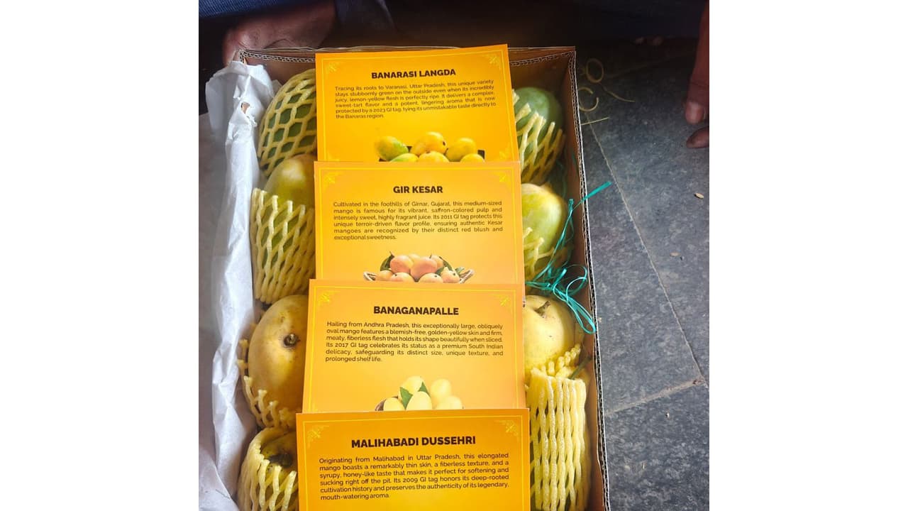 BJP National President Nitin Nabin gifts four varieties of Indian mangoes to foreign envoys (Photo/ANI) BJP National President Nitin Nabin gifts four varieties of Indian mangoes to foreign envoys (Photo/ANI)