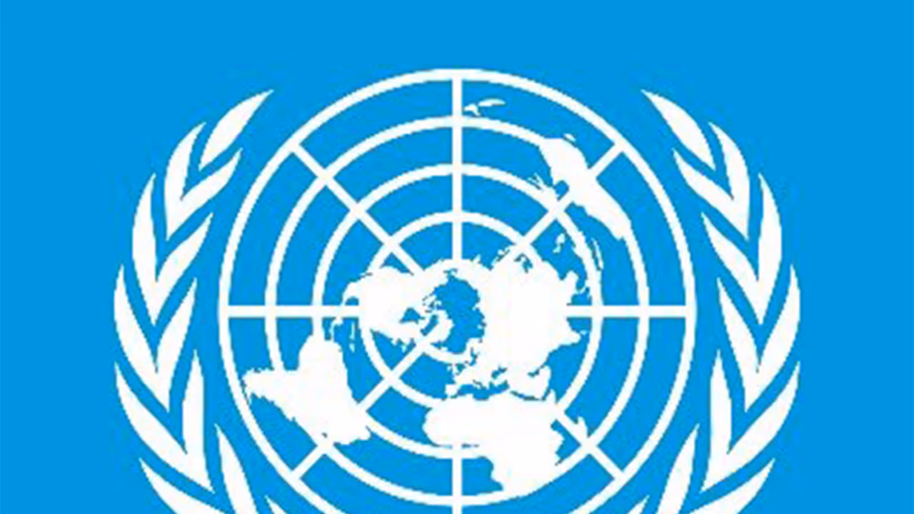 United Nations logo (Photo/X@UN) United Nations logo (Photo/X@UN)