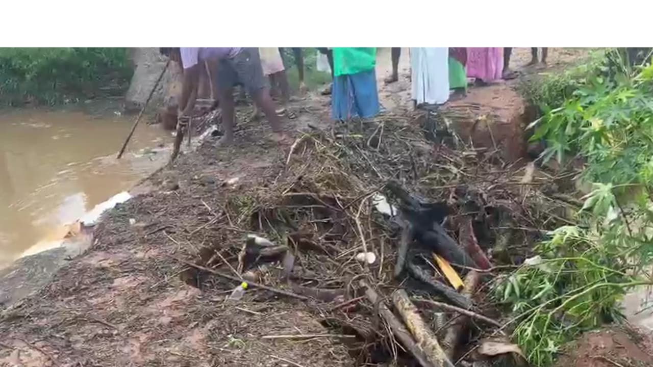 Temporary causeway bridge built by villagers washed away following sudden flash floods (Photo/ANI) Temporary causeway bridge built by villagers washed away following sudden flash floods (Photo/ANI)
