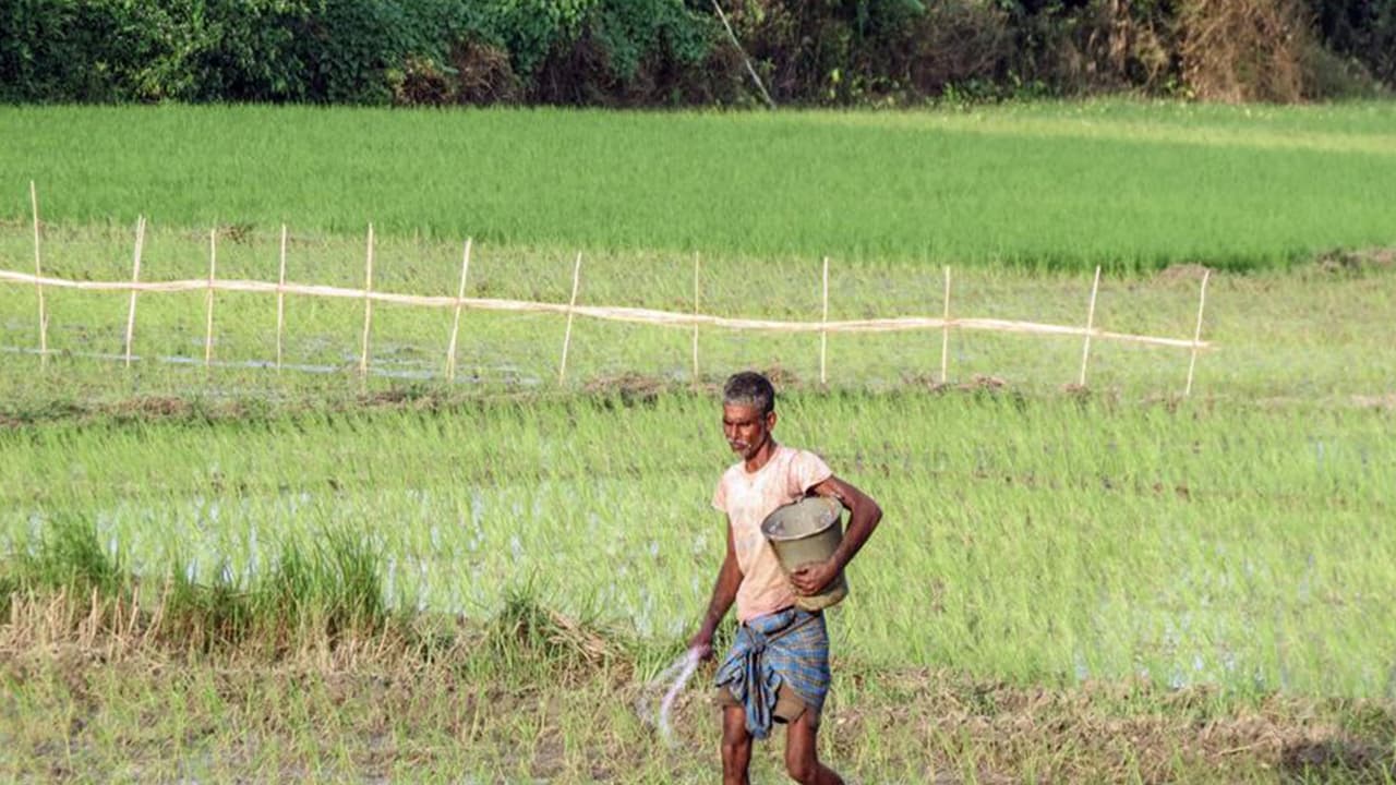 A farmer working in the field. (File Photo/ANI) A farmer working in the field. (File Photo/ANI)