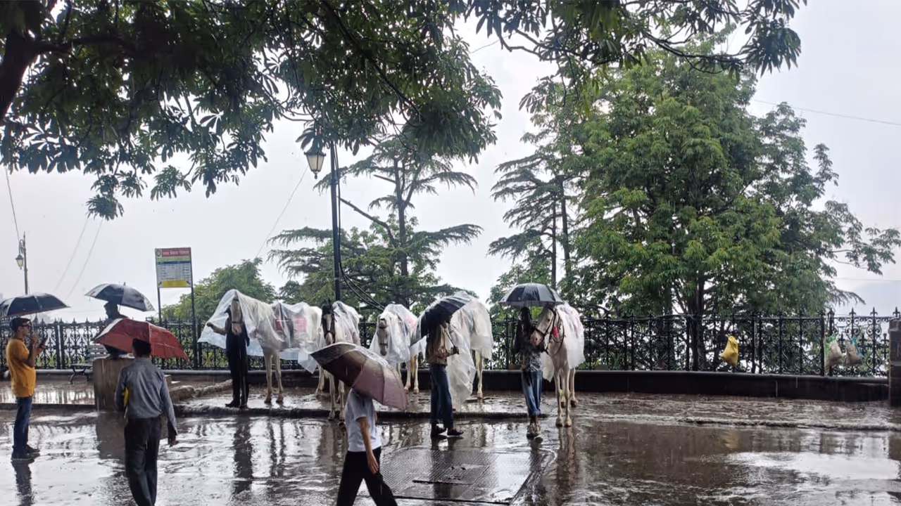 Rainfall turned Himachal Pradesh’s capital Shimla into a major attraction for tourists, (Photo/ANI) Rainfall turned Himachal Pradesh’s capital Shimla into a major attraction for tourists, (Photo/ANI)