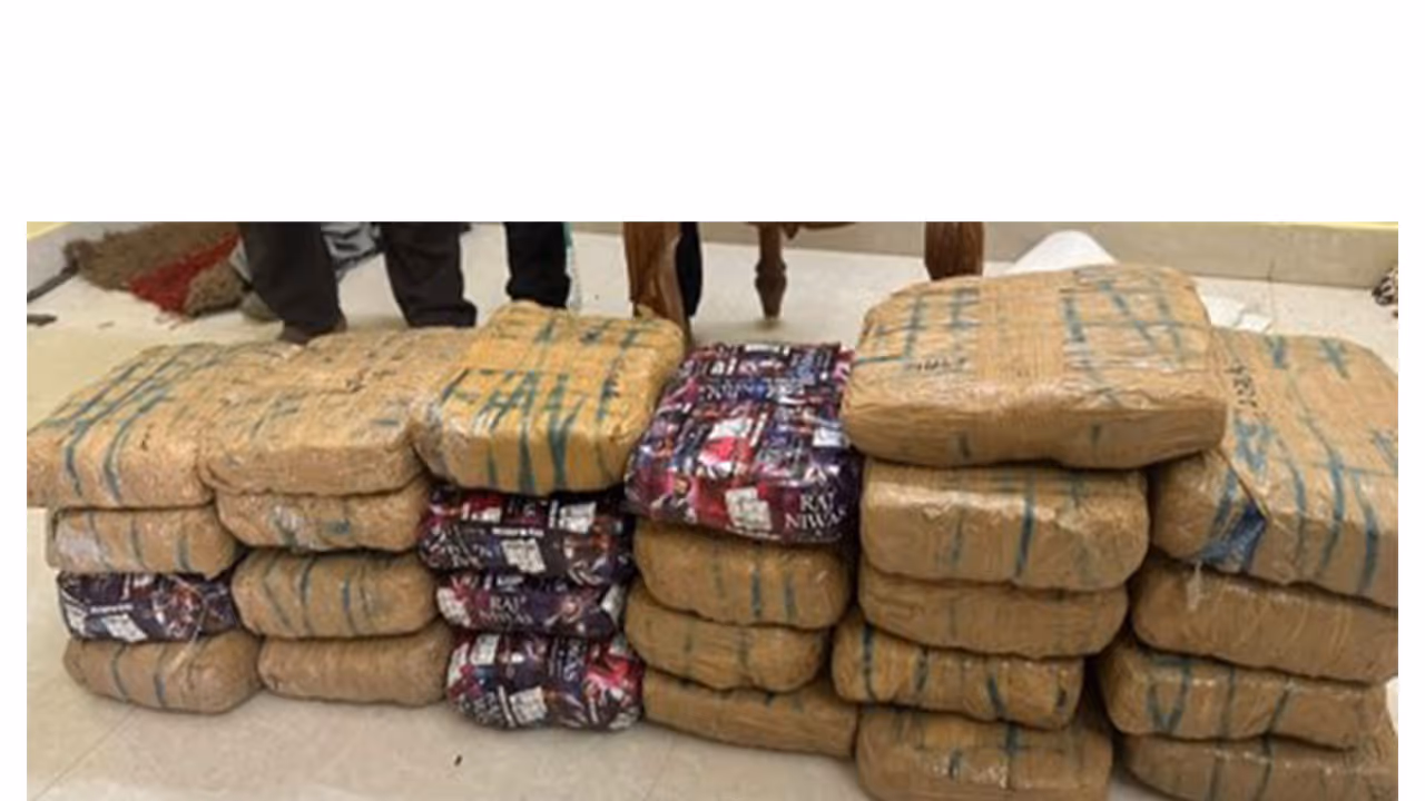 Seized 48.5 kg cannabis in Odisha (Photo/PIB) Seized 48.5 kg cannabis in Odisha (Photo/PIB)