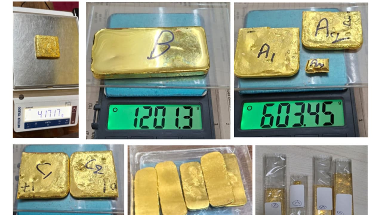 DRI busts gold smuggling syndicate (Photo/Release) DRI busts gold smuggling syndicate (Photo/Release)