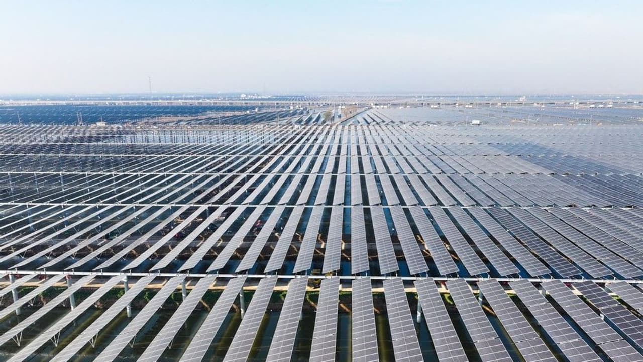 Canadian Solar’s ‘Messy’ Q4 Miss Triggers Citi Downgrade, But Retail Bulls Aren’t Backing Down Canadian Solar’s ‘Messy’ Q4 Miss Triggers Citi Downgrade, But Retail Bulls Aren’t Backing Down