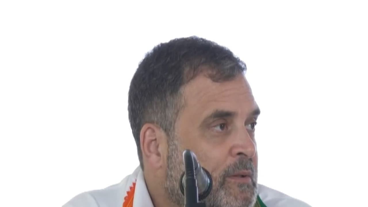 Lok Sabha Leader of Opposition Rahul Gandhi (Photo/X@INCIndia) Lok Sabha Leader of Opposition Rahul Gandhi (Photo/X@INCIndia)