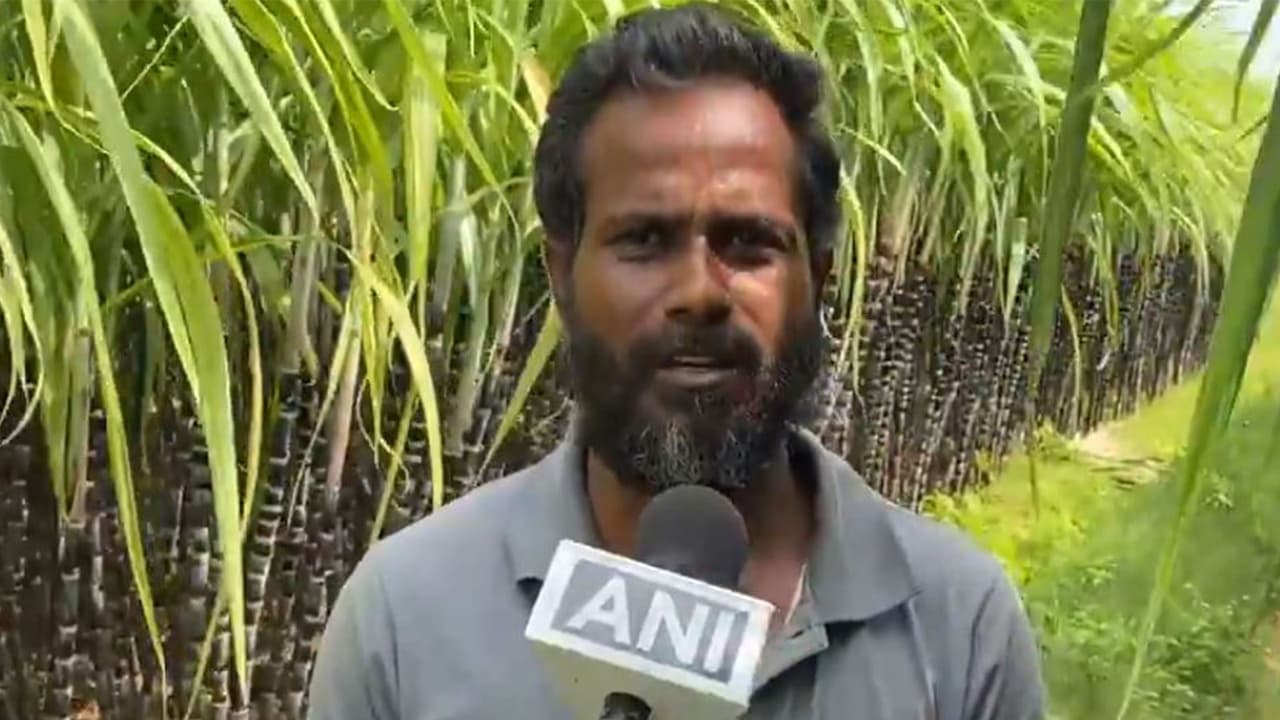 Ganesamoorthy, a sugarcane farmer from Thiruvalar Cholai (Photo/ANI) Ganesamoorthy, a sugarcane farmer from Thiruvalar Cholai (Photo/ANI)