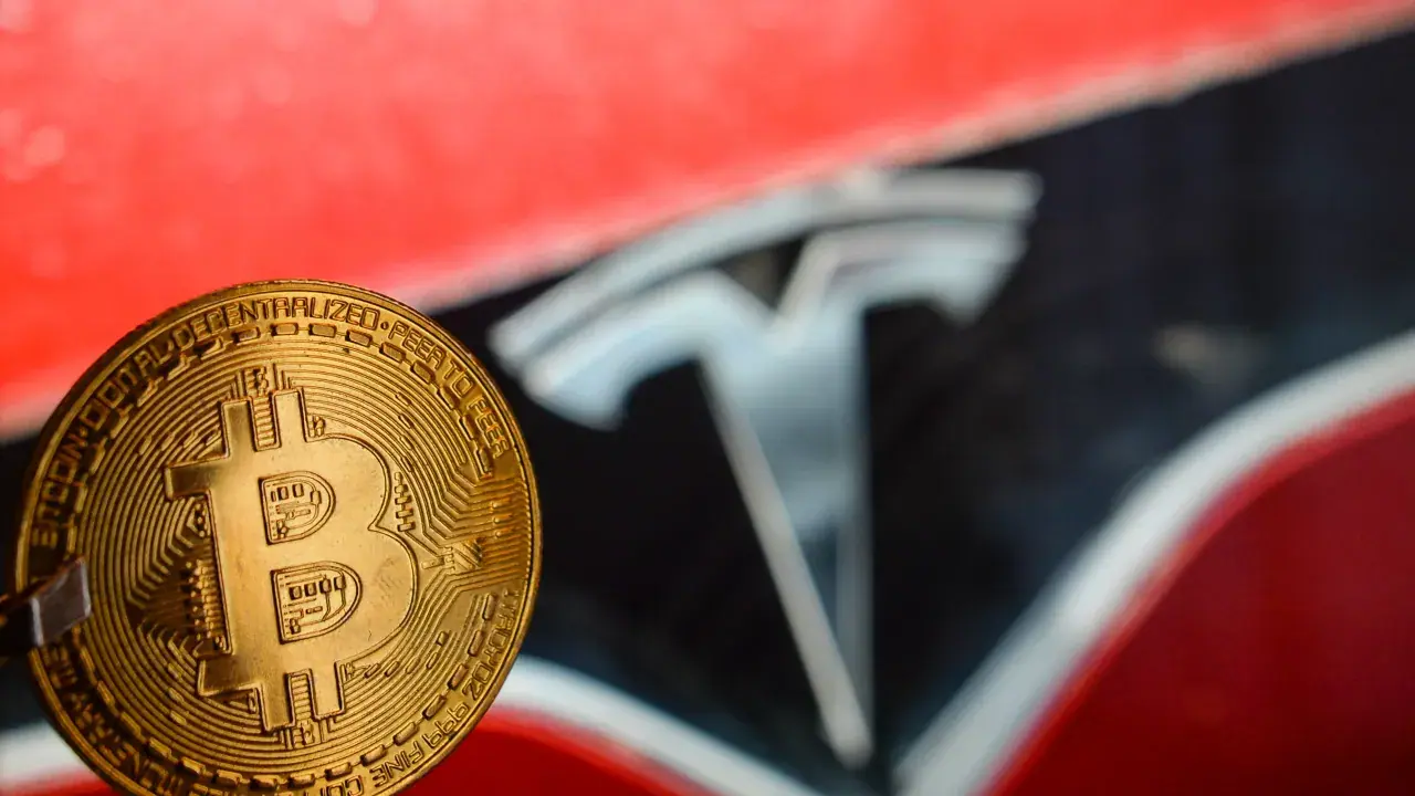 https://stocktwits.com/news articles/markets/equity/tesla bitcoin stash would have been 4x without 2022 dump/choGDVdR5vF