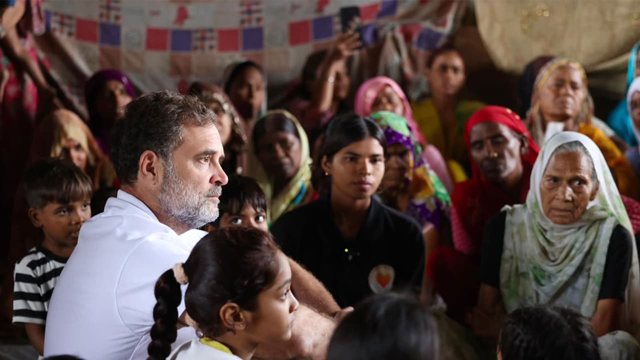 Congress MP and Leader of Opposition, Rahul Gandhi during his visit to Bela estate (Photo/ANI) Congress MP and Leader of Opposition, Rahul Gandhi during his visit to Bela estate (Photo/ANI)
