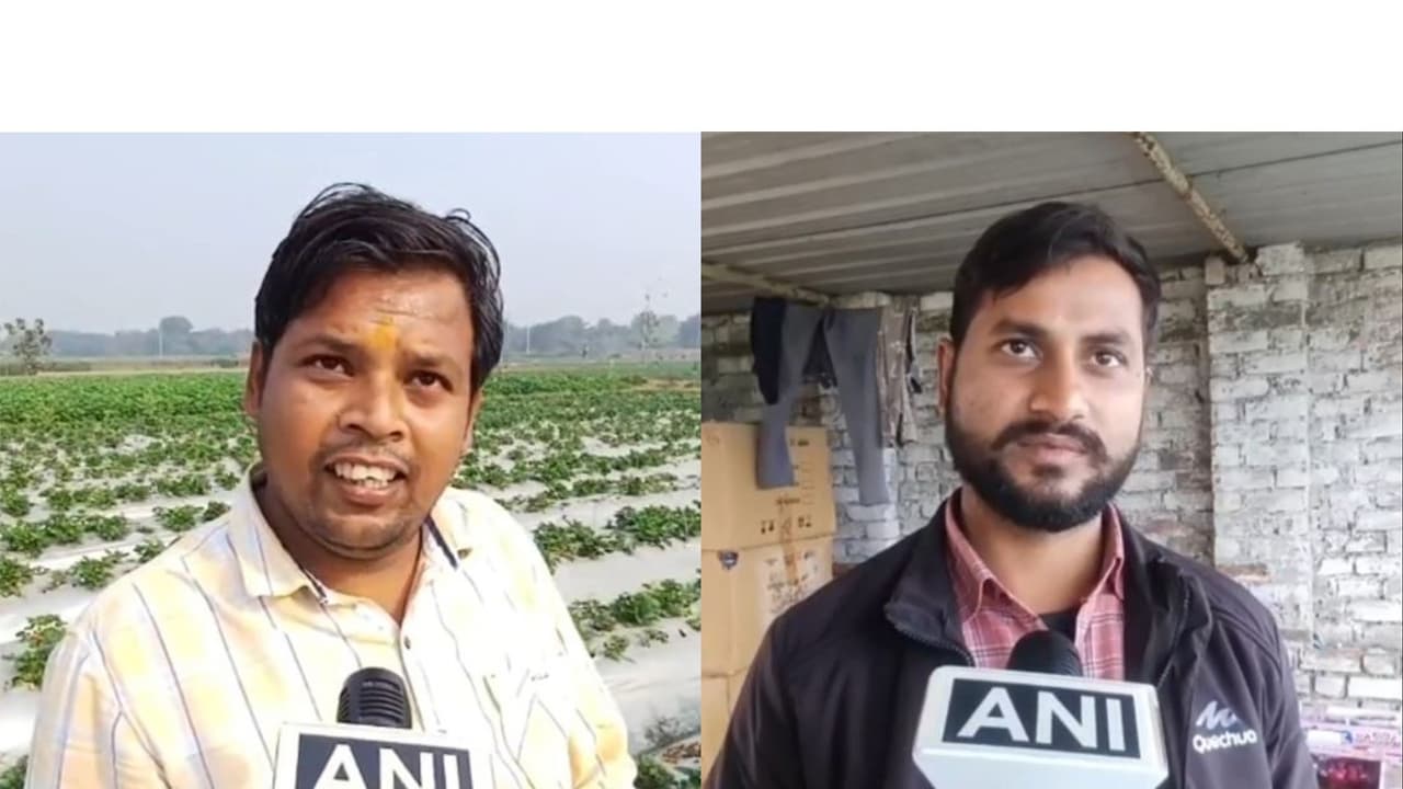 Farmers in Sambhal, Sumit Kumar and Mohammad Gulrez (Photo/ANI) Farmers in Sambhal, Sumit Kumar and Mohammad Gulrez (Photo/ANI)