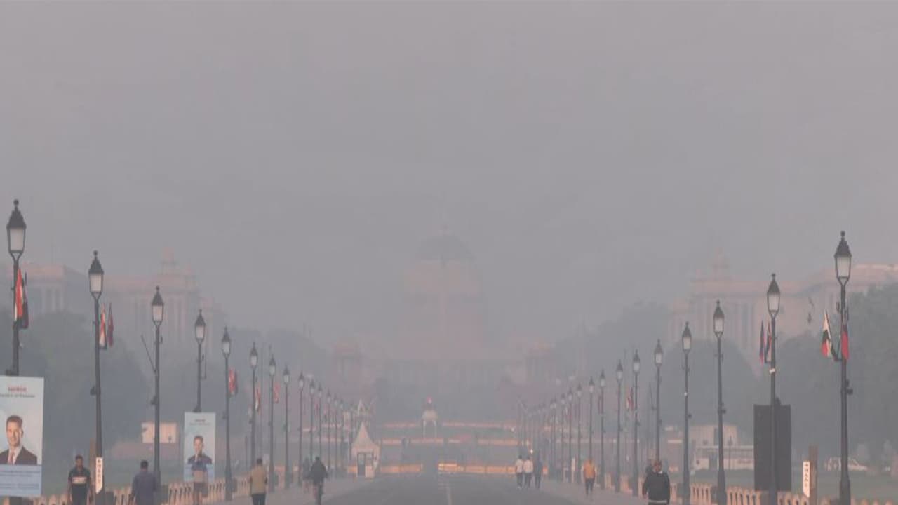 Delhi morning visuals from India Gate (Photo/ANI) Delhi morning visuals from India Gate (Photo/ANI)