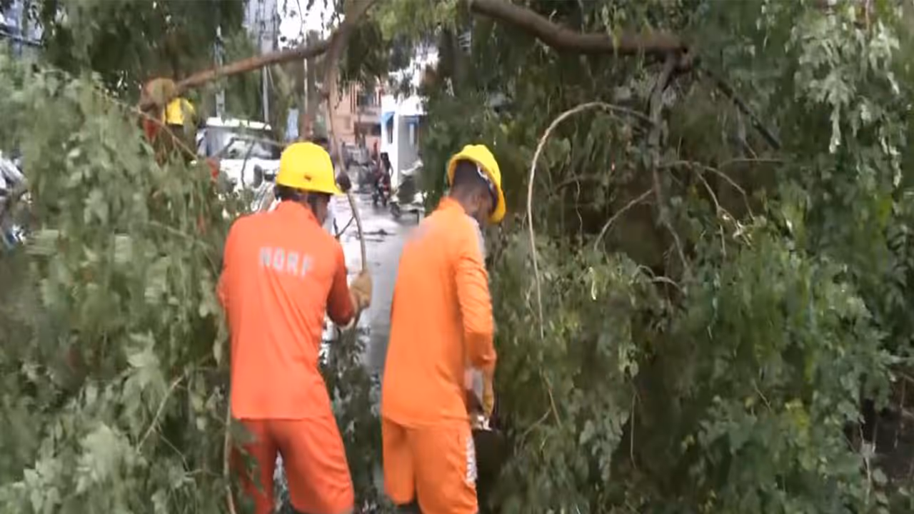 NDRF clears fallen trees, debris in Yanam after Cyclone Arnab (Photo/ANI) NDRF clears fallen trees, debris in Yanam after Cyclone Arnab (Photo/ANI)