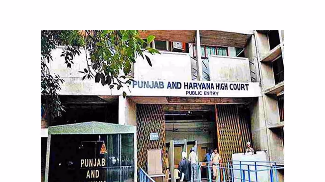 Punjab and Haryana High Court (File Photo/ANI) Punjab and Haryana High Court (File Photo/ANI)