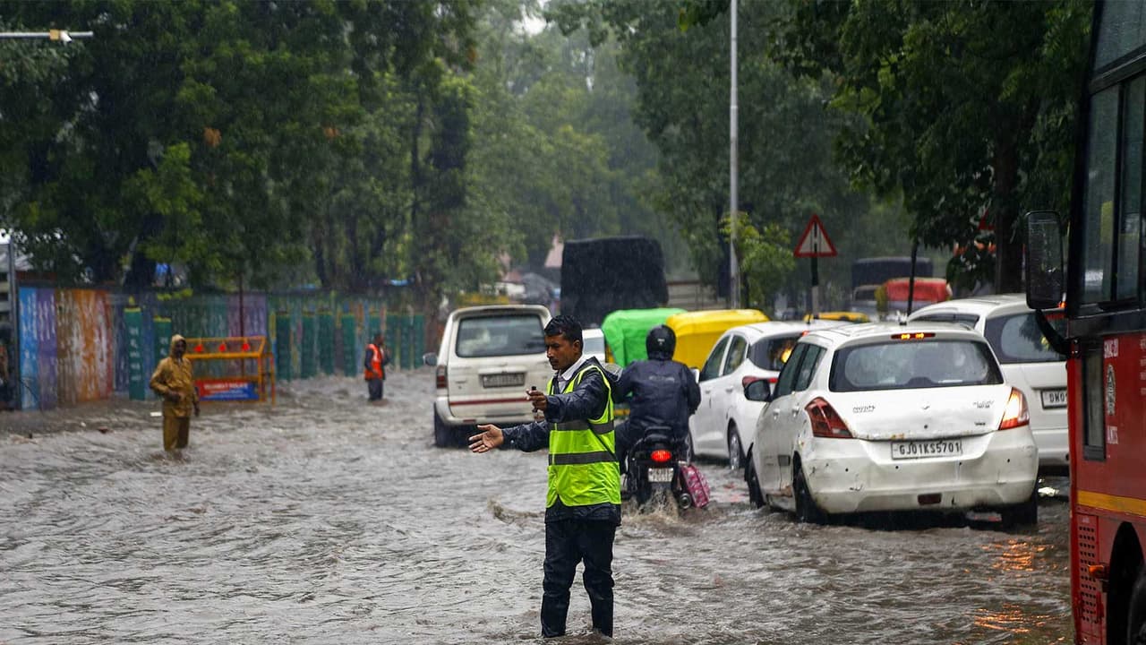 Representative image (File photo/ANI) Representative image (File photo/ANI)