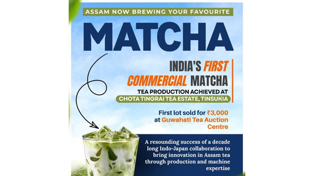 Assam tea estate launches India’s first Matcha tea (Photo/@himantabiswa) Assam tea estate launches India’s first Matcha tea (Photo/@himantabiswa)