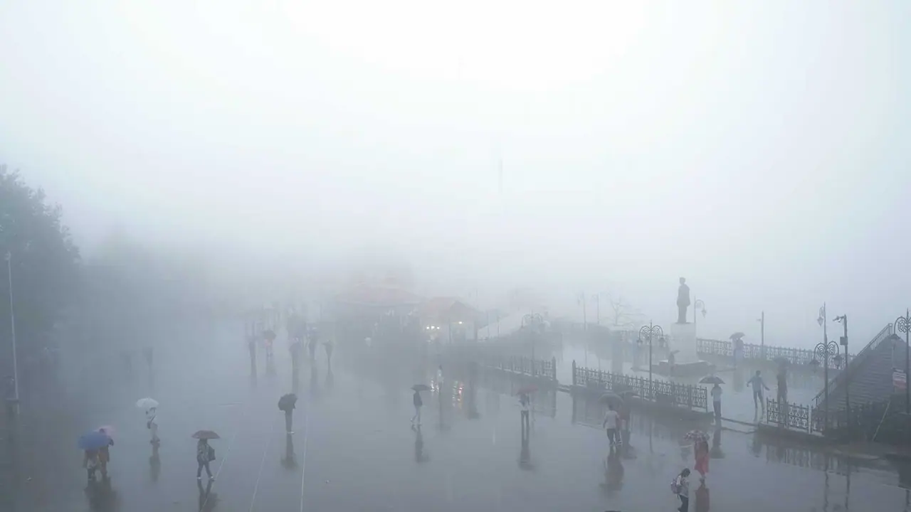 People walk through a rain slicked road while protecting themselves from rainfall, in Shimla on Saturday (Photo/ANI) People walk through a rain slicked road while protecting themselves from rainfall, in Shimla on Saturday (Photo/ANI)