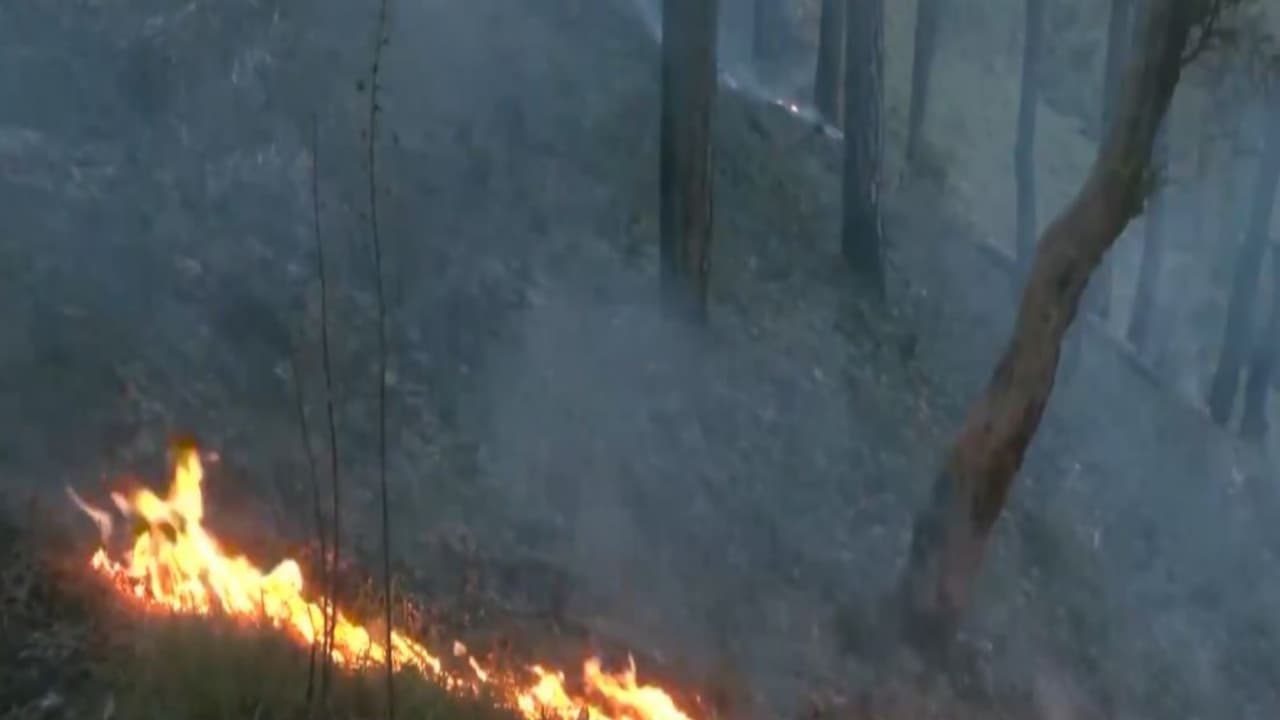 Visual from forest fire in Shimla (Photo/ANI) Visual from forest fire in Shimla (Photo/ANI)