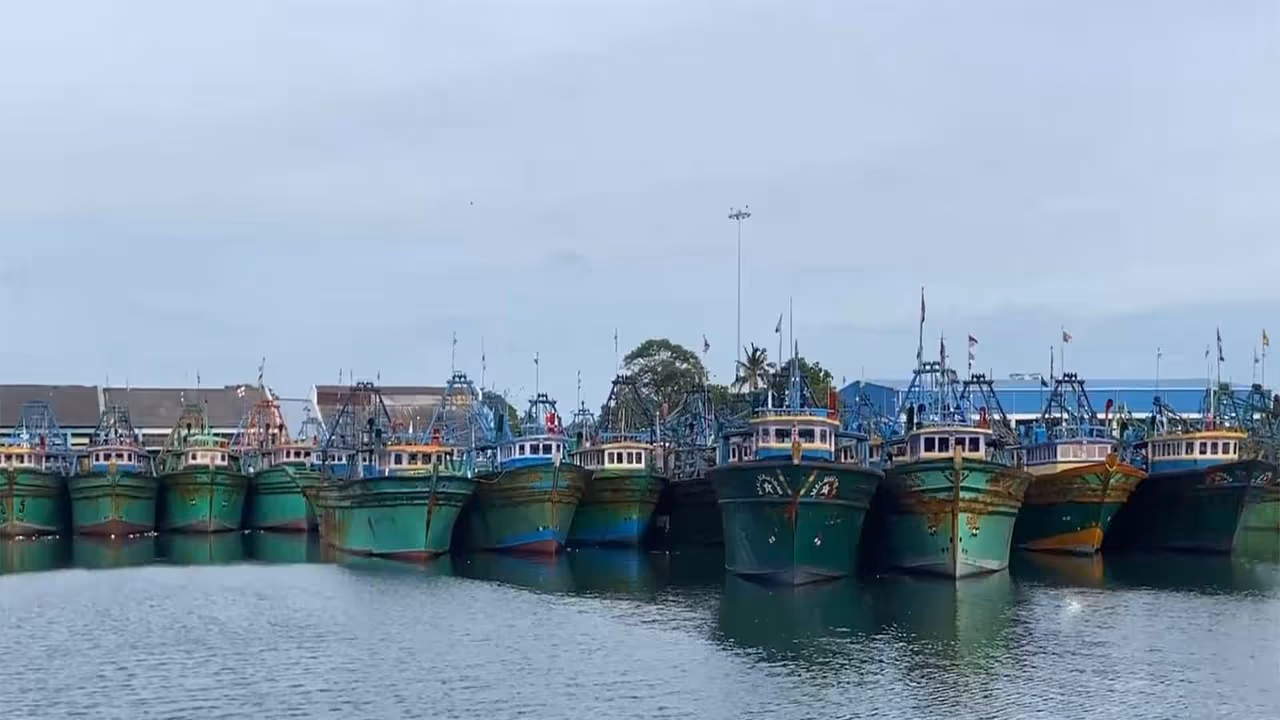 Fishing boats in Thoothukudi Fishing Harbour (Photo/ANI) Fishing boats in Thoothukudi Fishing Harbour (Photo/ANI)