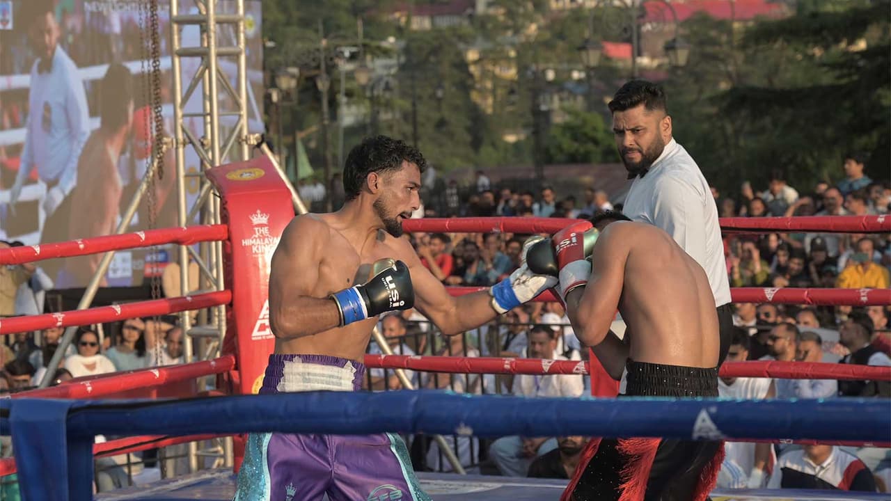 Boxers in action at the International Professional Boxing C'ship (Photo: ANI) Boxers in action at the International Professional Boxing C'ship (Photo: ANI)