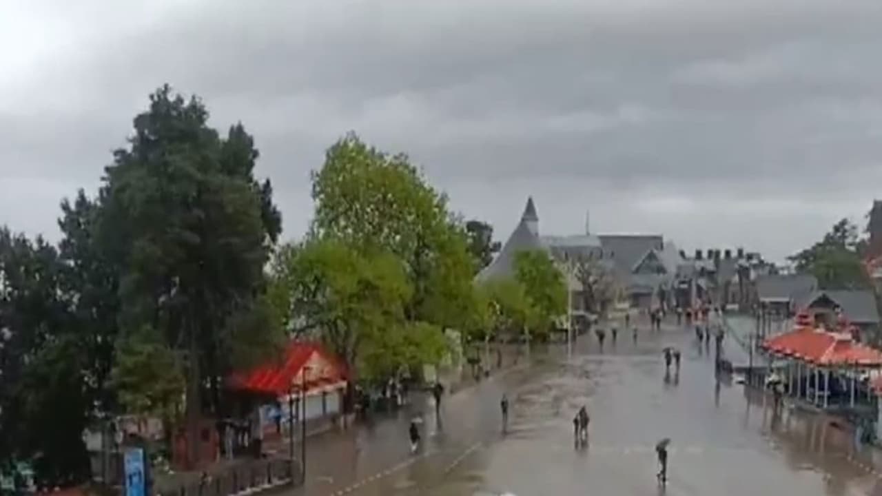 Rainfall in Shimla (Photo/ANI) Rainfall in Shimla (Photo/ANI)