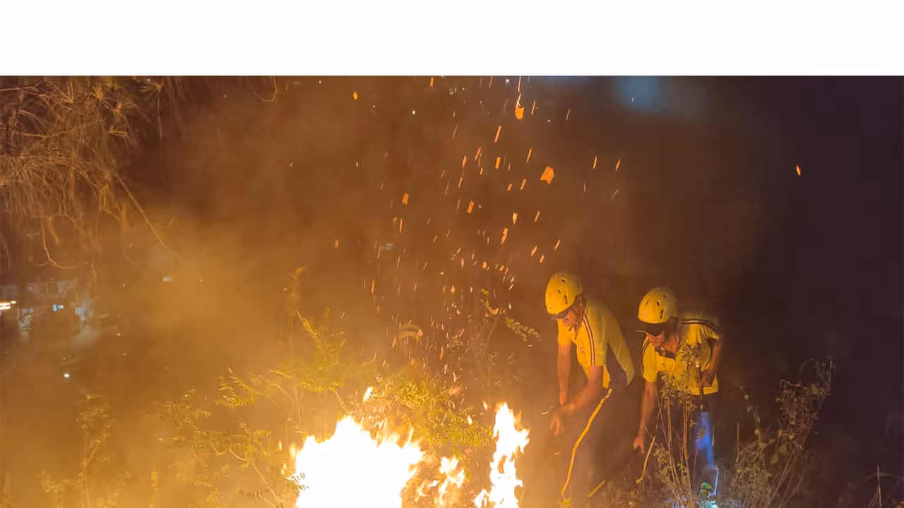 Visuals of the forest fire (Photo/SDRF) Visuals of the forest fire (Photo/SDRF)