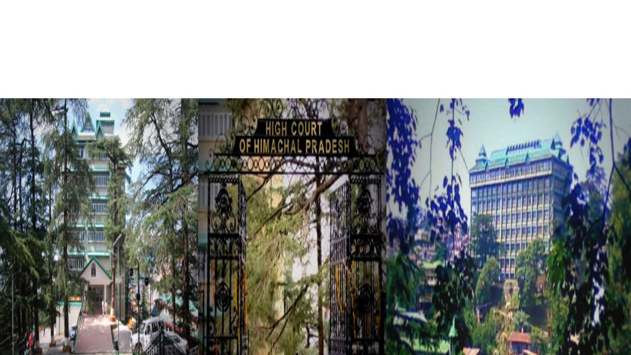 Himachal Pradesh High Court (Photo/https://highcourt.hp.gov.) Himachal Pradesh High Court (Photo/https://highcourt.hp.gov.)