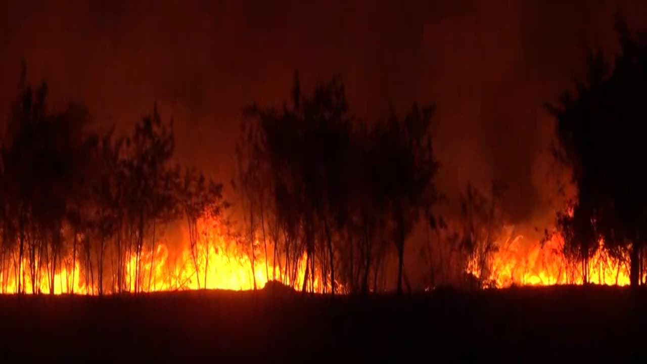 Visuals of the spot (Photo/ANI) Visuals of the spot (Photo/ANI)