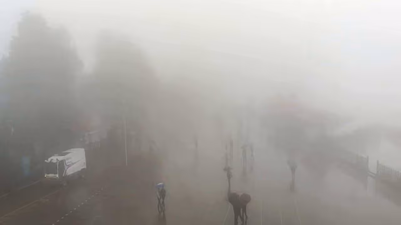 Heavy rainfall lashes several parts of Himachal Pradesh (Photo/ANI) Heavy rainfall lashes several parts of Himachal Pradesh (Photo/ANI)