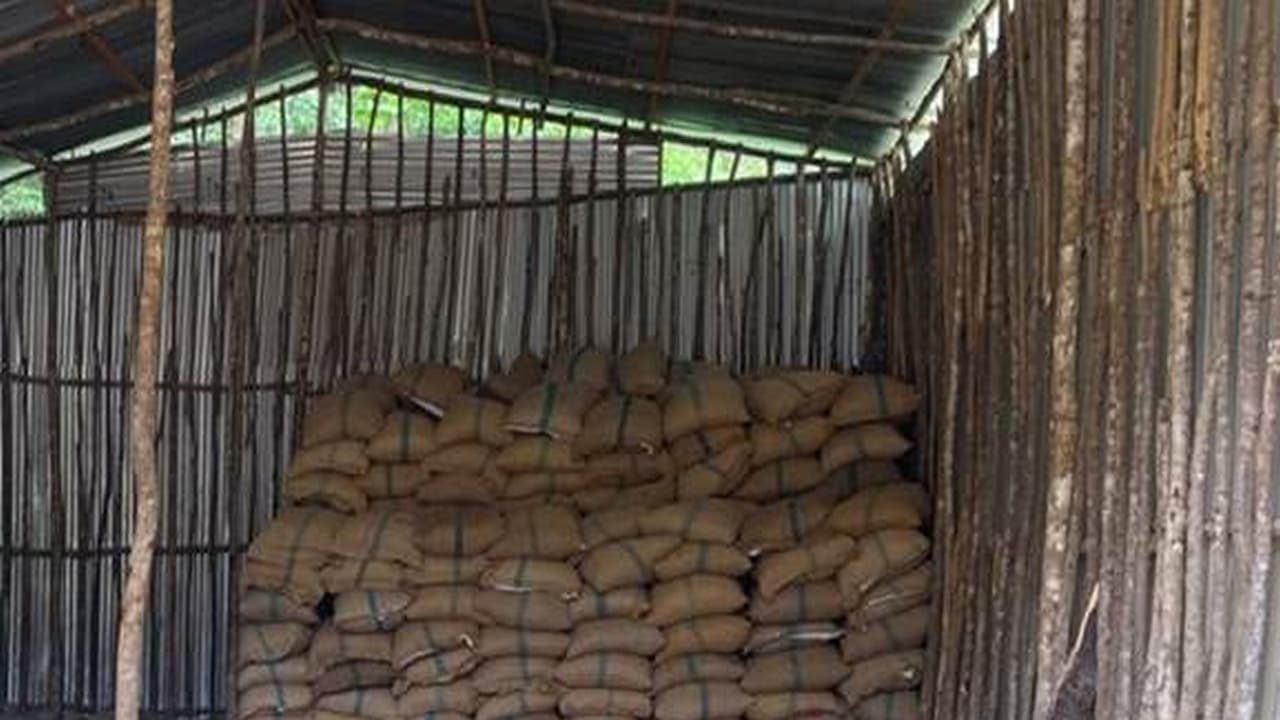 DRI seizes 60,000 kg smuggled areca nuts (Photo/PIB) DRI seizes 60,000 kg smuggled areca nuts (Photo/PIB)