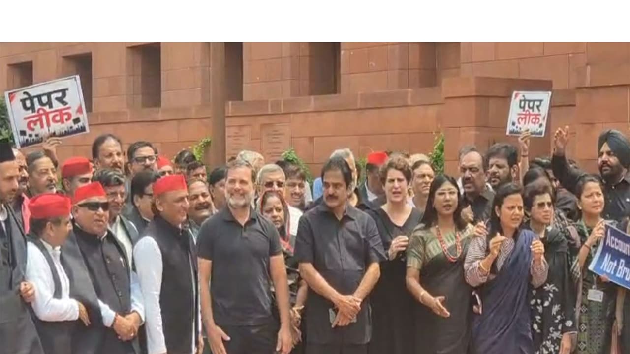Lok Sabha LoP Rahul Gandhi and SP MP Akhilesh Yadav lead black clothes protest by opposition MPs (Photo/ANI) Lok Sabha LoP Rahul Gandhi and SP MP Akhilesh Yadav lead black clothes protest by opposition MPs (Photo/ANI)