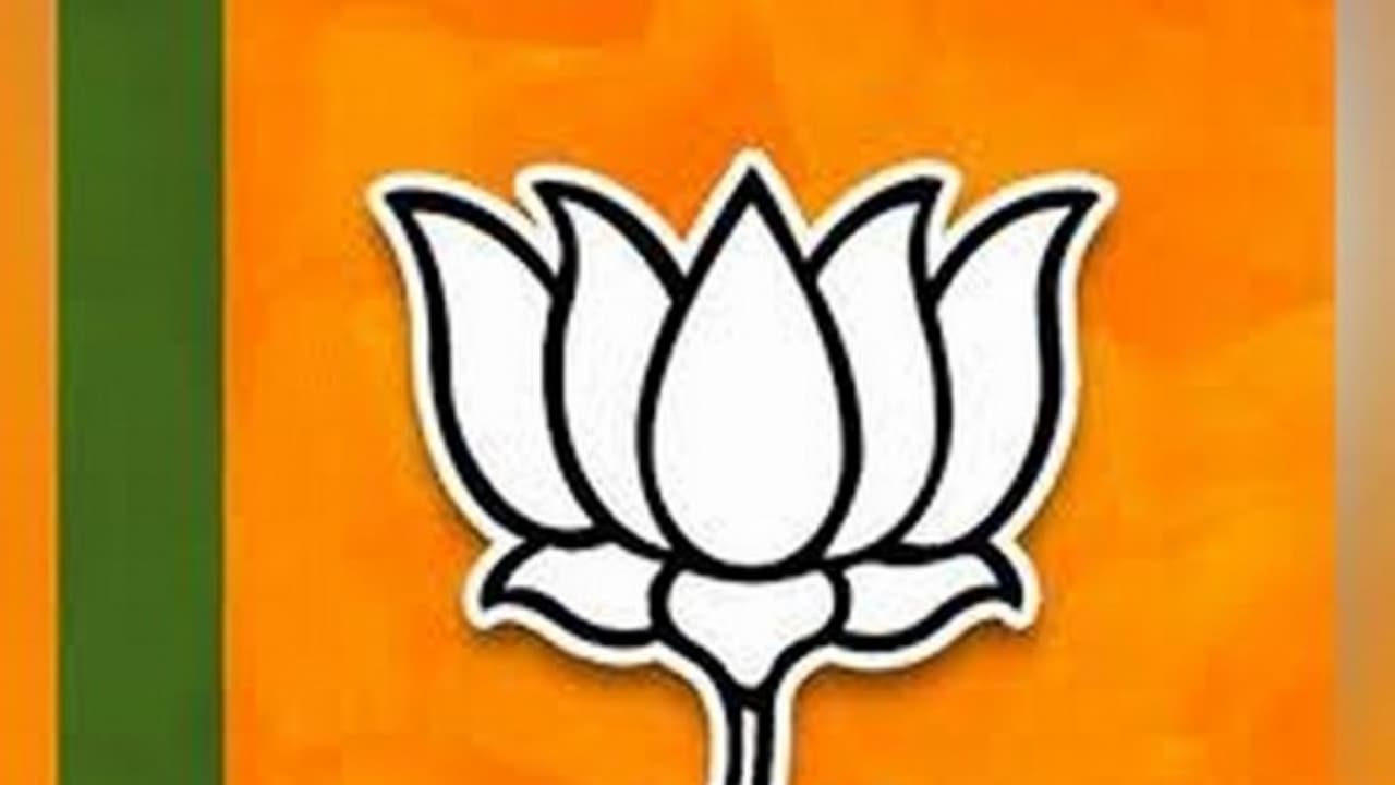 Representative Image (File Photo/bjpofficialsite) Representative Image (File Photo/bjpofficialsite)
