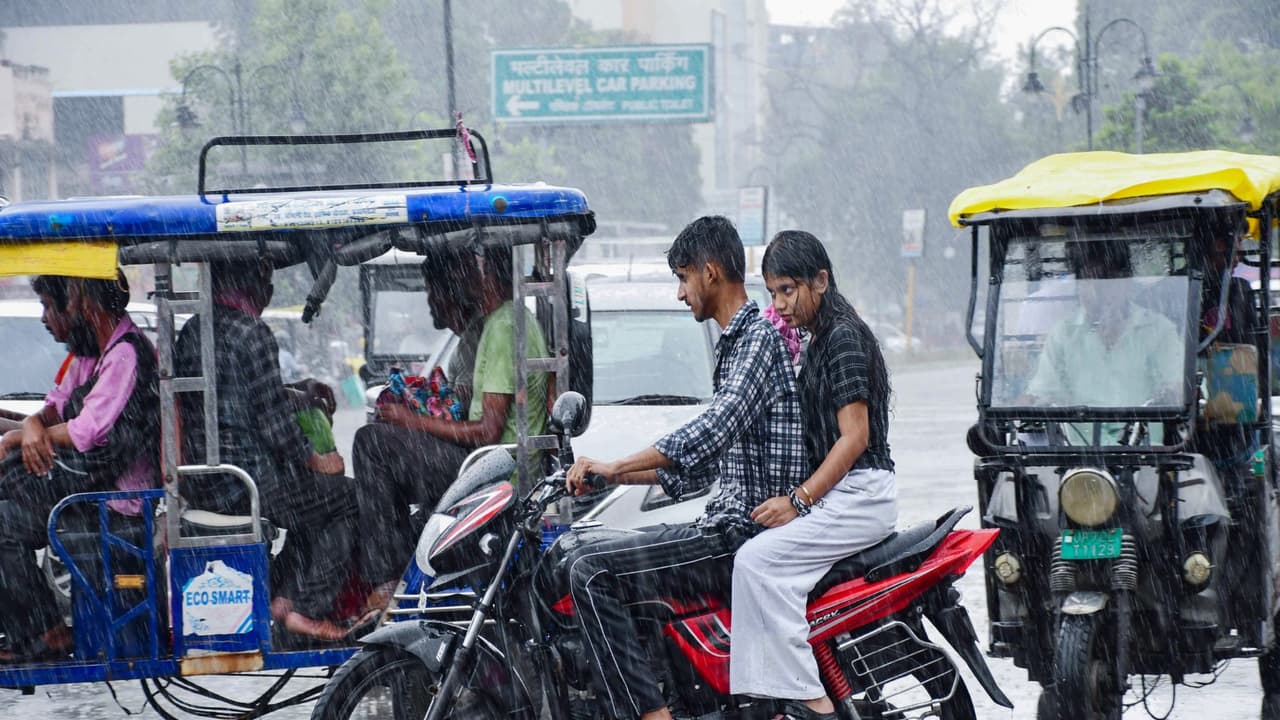 Representative image (File Photo/ANI) Representative image (File Photo/ANI)